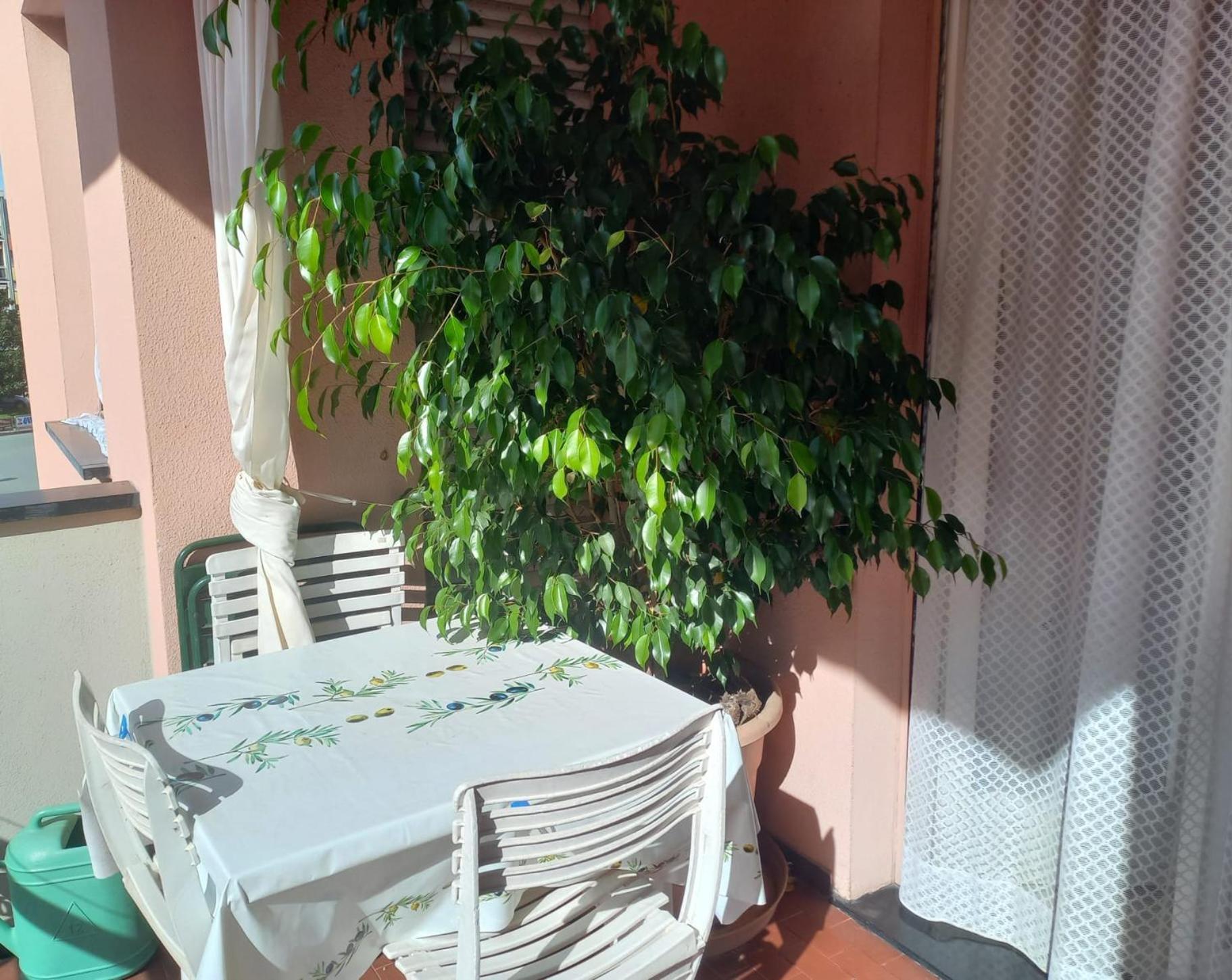 Cinque Terre & Portofino Apartment In 东塞斯特里 外观 照片